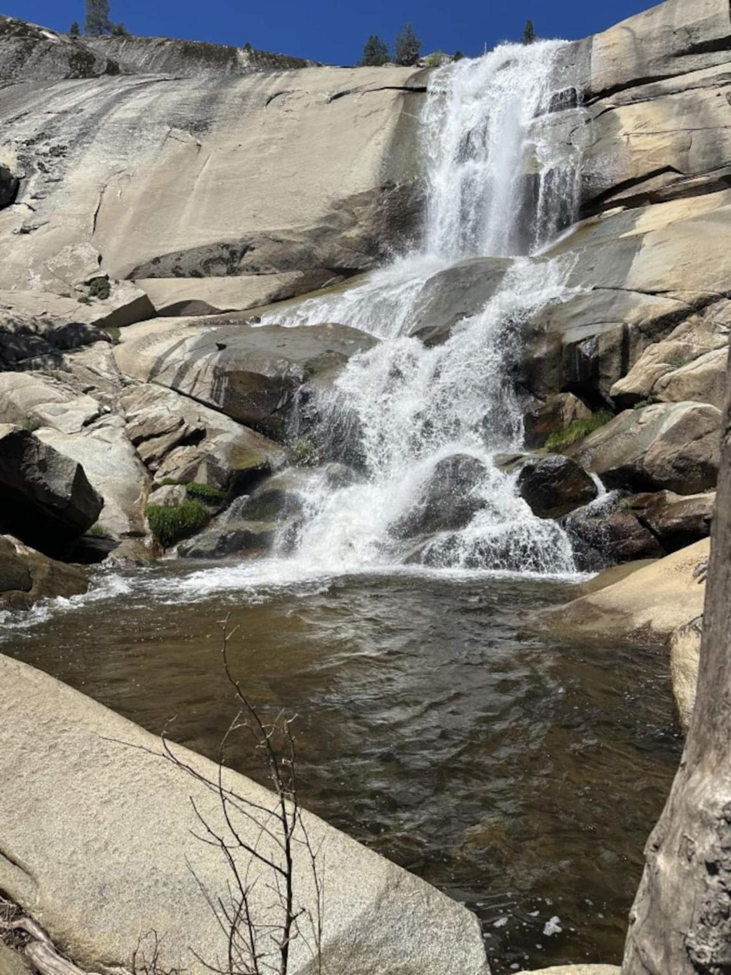 Peppermint Falls Ranch Ponderosa Dış mekan fotoğraf