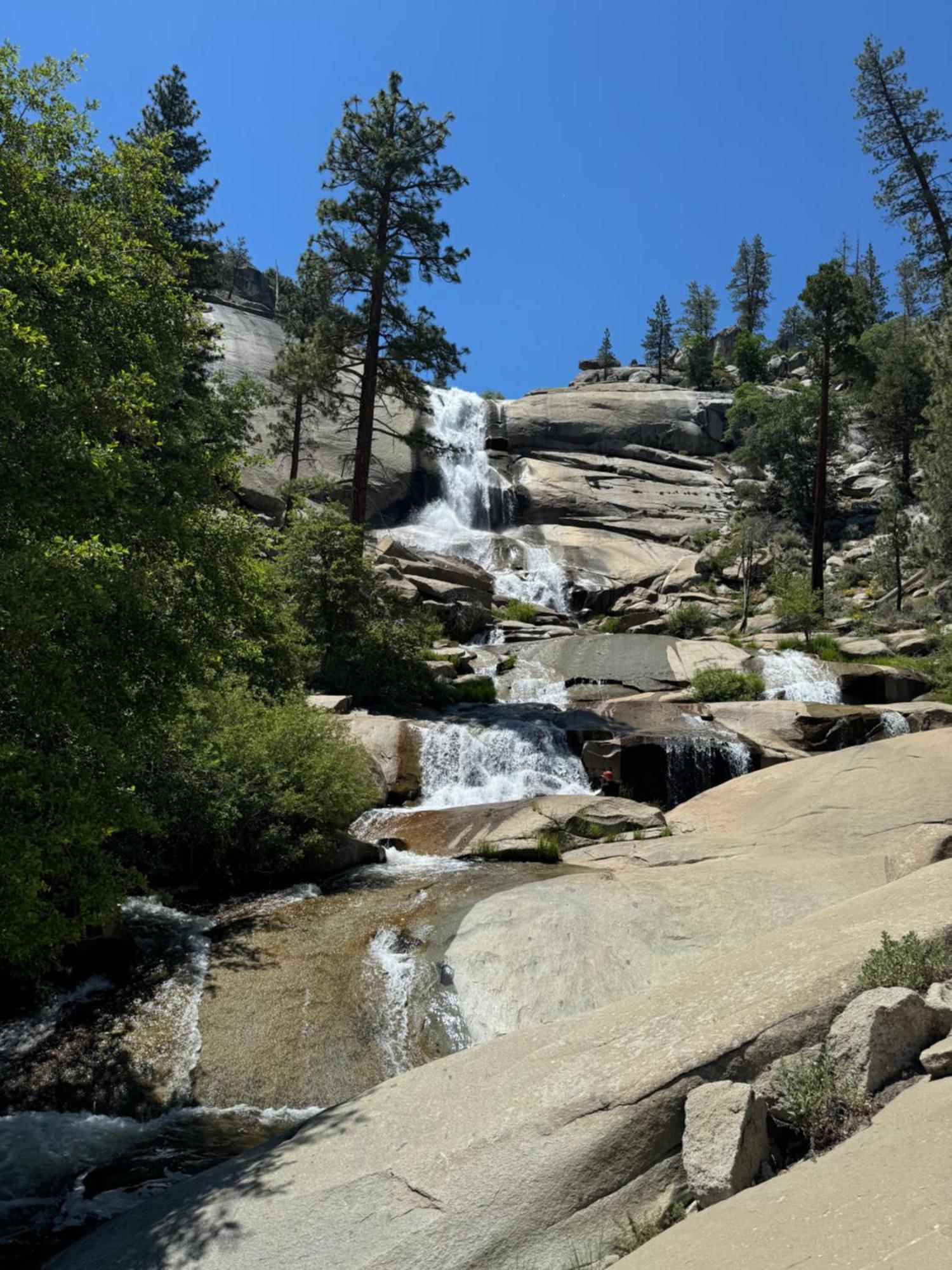 Peppermint Falls Ranch Ponderosa Dış mekan fotoğraf